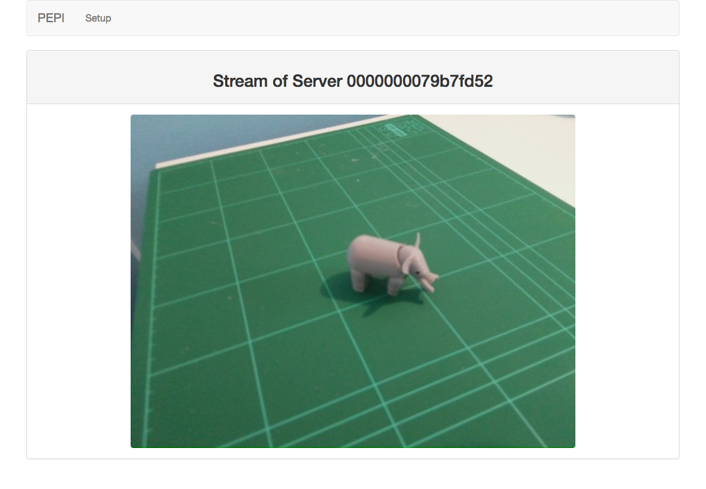 A screenshot of the full-screen stream view of a detected server.